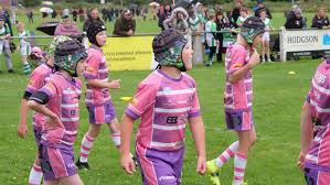 Image result for Holderness Vikings Amateur Rugby League Football Club
