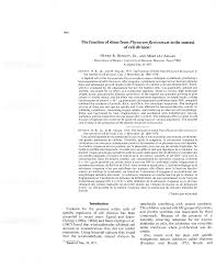 Attēlu rezultāti vaicājumam “Physarum flavicomum macro”