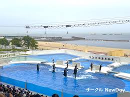 「海神往紗馳」の画像検索結果