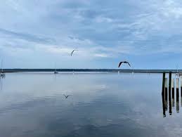 Image result for St Marys Tai Chi