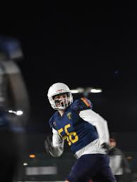 Image result for Birmingham University Lions