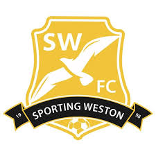 Image result for Weston-super-Mare Junior Athletics Club