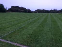Image result for Hendy Afc