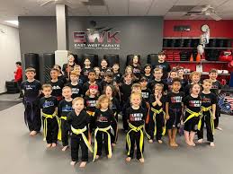 Image result for Kidderminster Martial Arts Academy