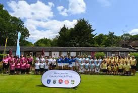 Image result for Stanmore Cricket Club