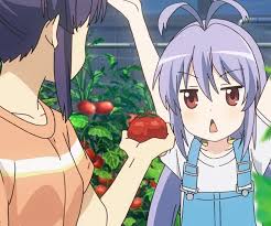 「宮内一穂 のんのんびより」の画像検索結果