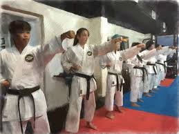 Image result for HEIWA SHOTOKAN KARATE CLUB