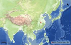 Attēlu rezultāti vaicājumam “Semioscopis oculella”