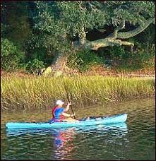 Image result for Paddletastic