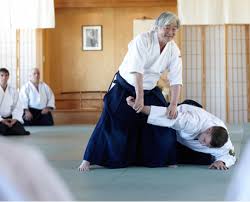 Image result for Fudokai Aikido Dojo