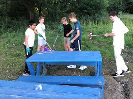 Image result for Salfords Cricket Club