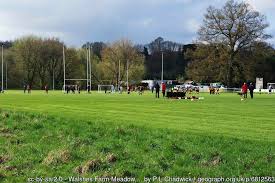 Image result for Stourport Rugby Union Football Club