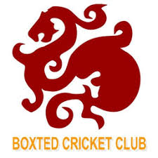 Image result for Worlingworth Cricket Club