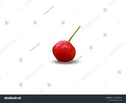 Attēlu rezultāti vaicājumam “Polygonatum verticillatum fruit”