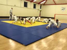 Image result for Welwyn Garden City Judo Club