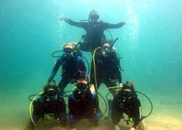 Image result for Dive Crew Scuba Diving