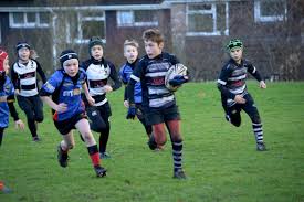 Image result for Minehead Barbarians Rfc Ltd
