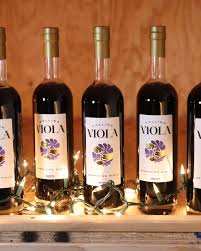 Attēlu rezultāti vaicājumam “Viola collina”