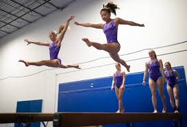Image result for Harnham Gymnastics Club