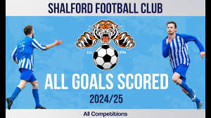 Image result for Shalford F C
