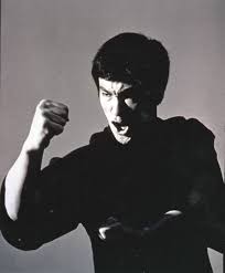 Image result for Somerset Jeet Kune Do