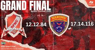 Image result for Bridgewater Netball Club