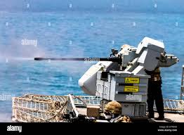 Image result for Cardigan Cannons