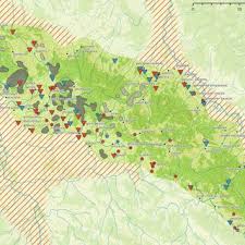 Attēlu rezultāti vaicājumam “Laserpitium pruthenicum”