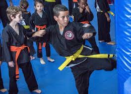 Image result for Elite Force Martial Arts