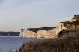 Image result for example