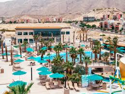 Image result for Yeovil and District Swimming Club