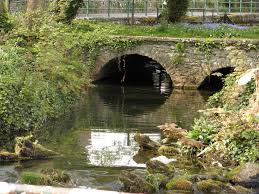 Image result for Keynsham Badminton Club