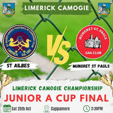 Image result for Limerick Draughts Club