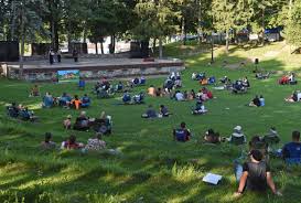 Image result for Thorn Park L T C