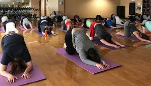 Image result for Yoga Classes