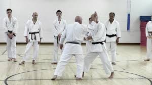 Image result for Haslemere Shotokan Karate Club