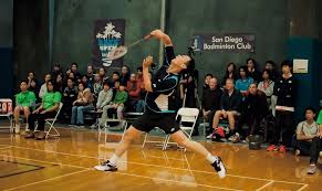 Image result for Cegelec Badminton Club