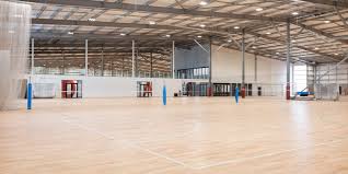 Image result for Sports Centre Netball