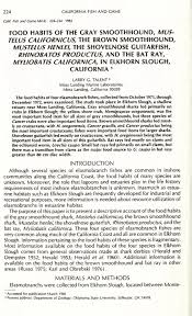 Image result for Mustelus palumbes