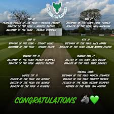 Image result for Woolpit Cricket Club