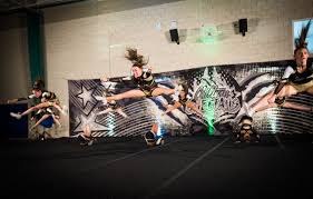 Image result for Chiltern Cheetahs