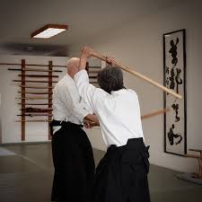 Image result for AikidoFlow