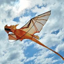 Image result for BARNET and WHETSTONE CHANGQUAN FLYING DRAGON