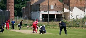 Image result for Lintz Cricket Club