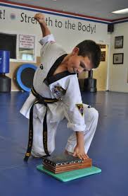 Image result for Chichester Tae Kwon Do