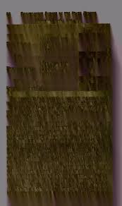 Attēlu rezultāti vaicājumam “Licea pusilla sessile”