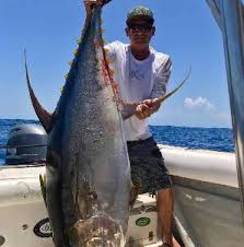Image result for giant tuna