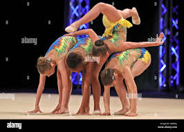 Image result for South Essex Gymnastics Club