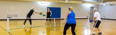 Image result for Springfield Badminton Club
