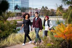 Image result for Edge Hill University Rounders